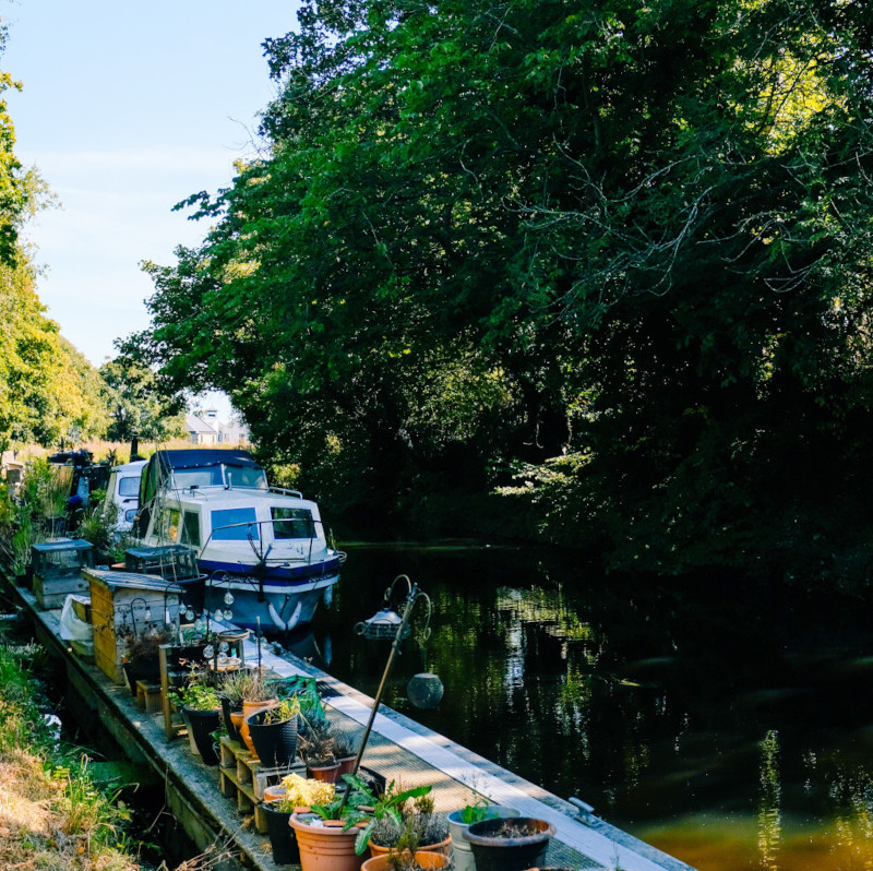 Canalside Life Coach for online life coaching or in person coaching near Birmingham - PATIENT, ENCOURAGING and POSITIVE